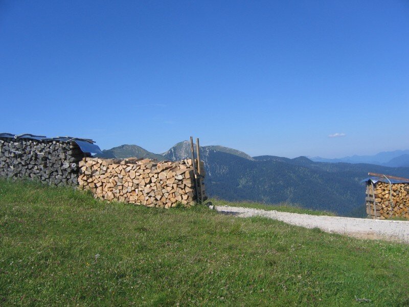 Stacks of Firewood