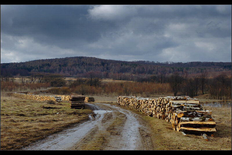 Stacks of Logs on Road