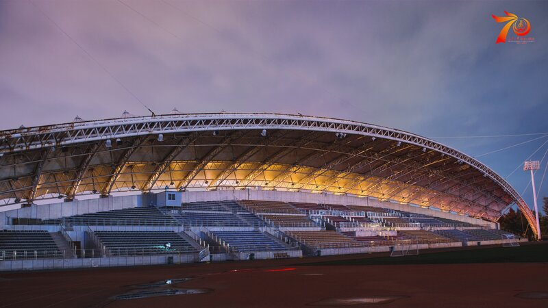 Stadium at Dusk — Purple