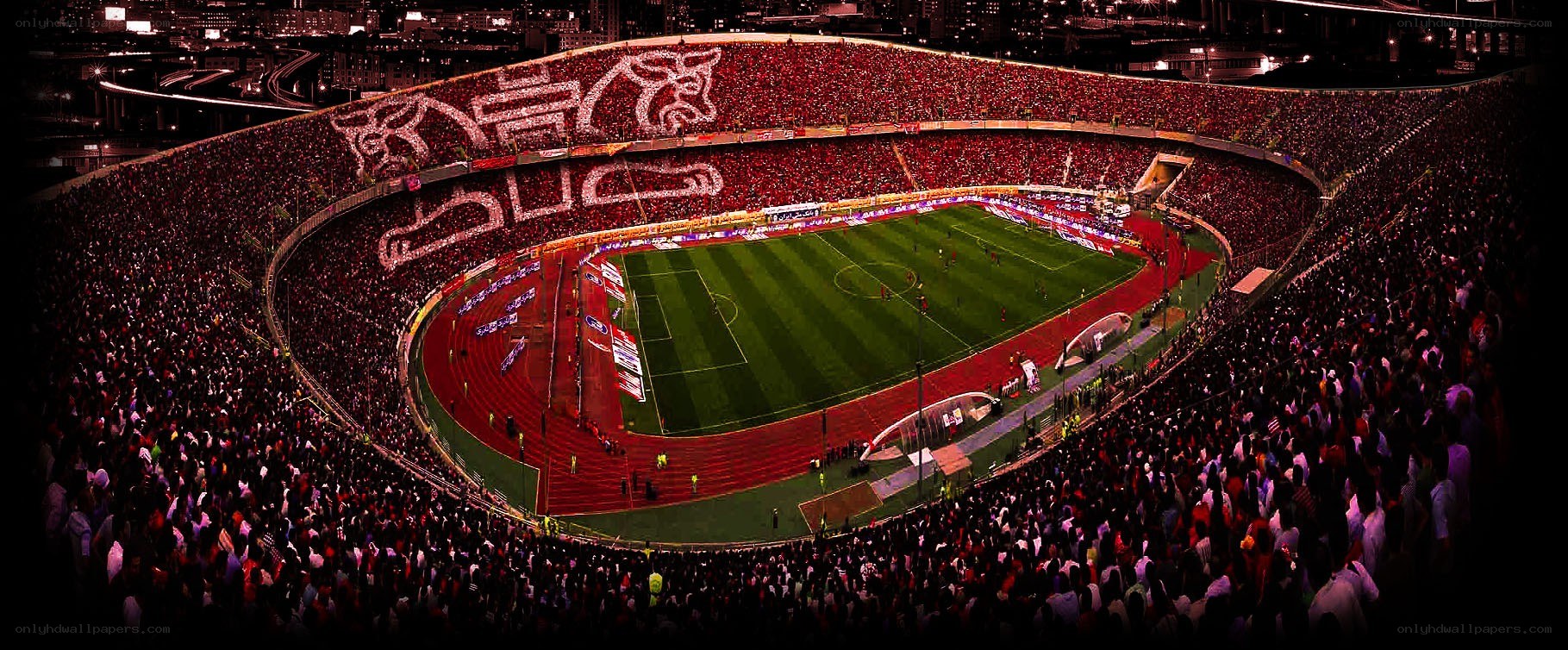 Stadium crowd display