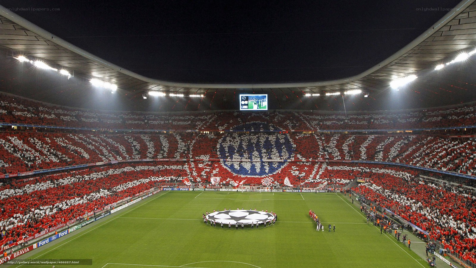 Stadium fan display at night