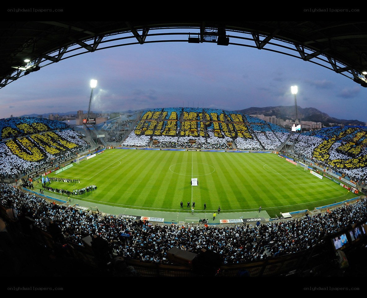 Stadium fans create human mosaic