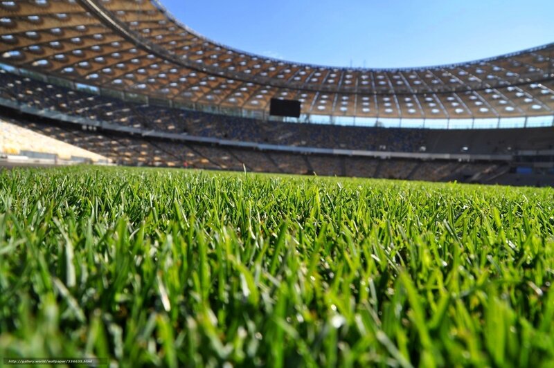 Stadium grass field view