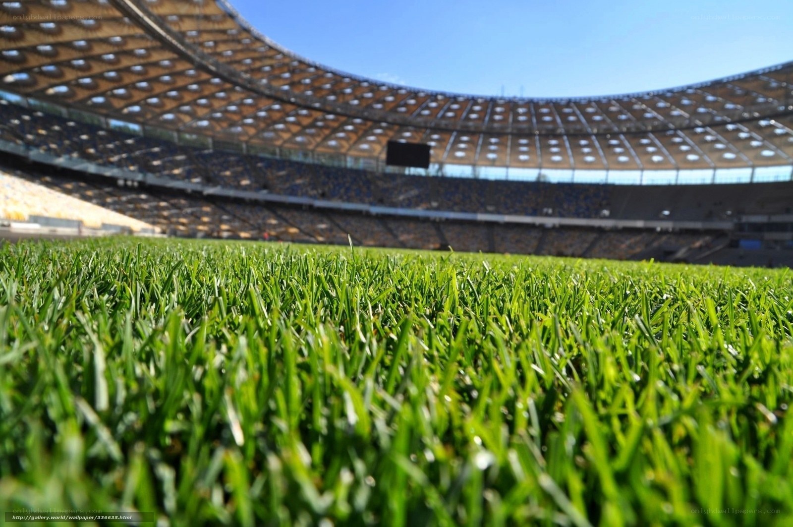 Stadium grass field view