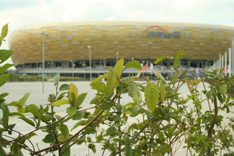 Stadium with green foliage
