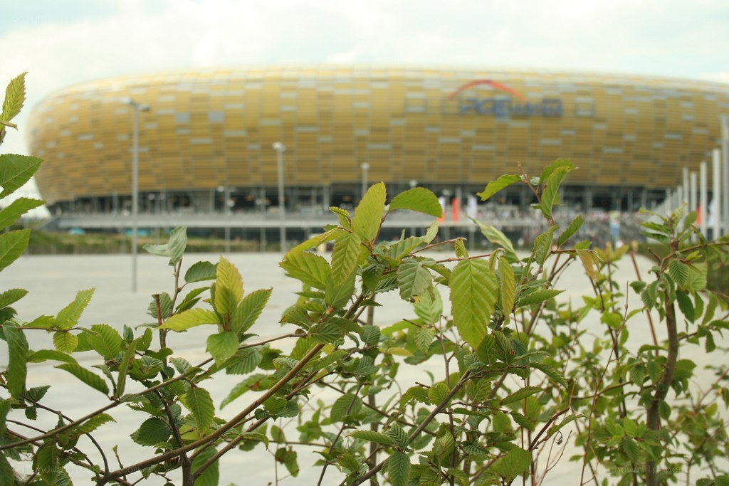 Stadium with green foliage