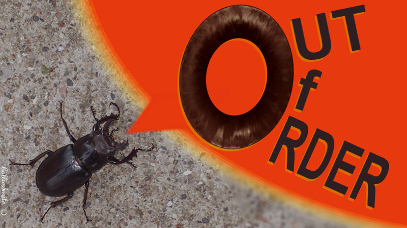 Stag Beetle on Concrete