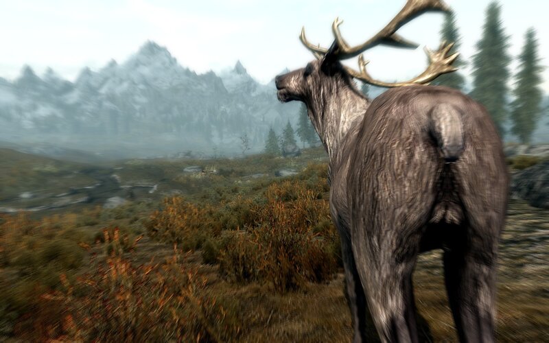 Stag in Mountain Landscape