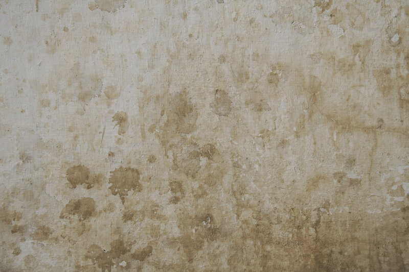 Stained Concrete Wall