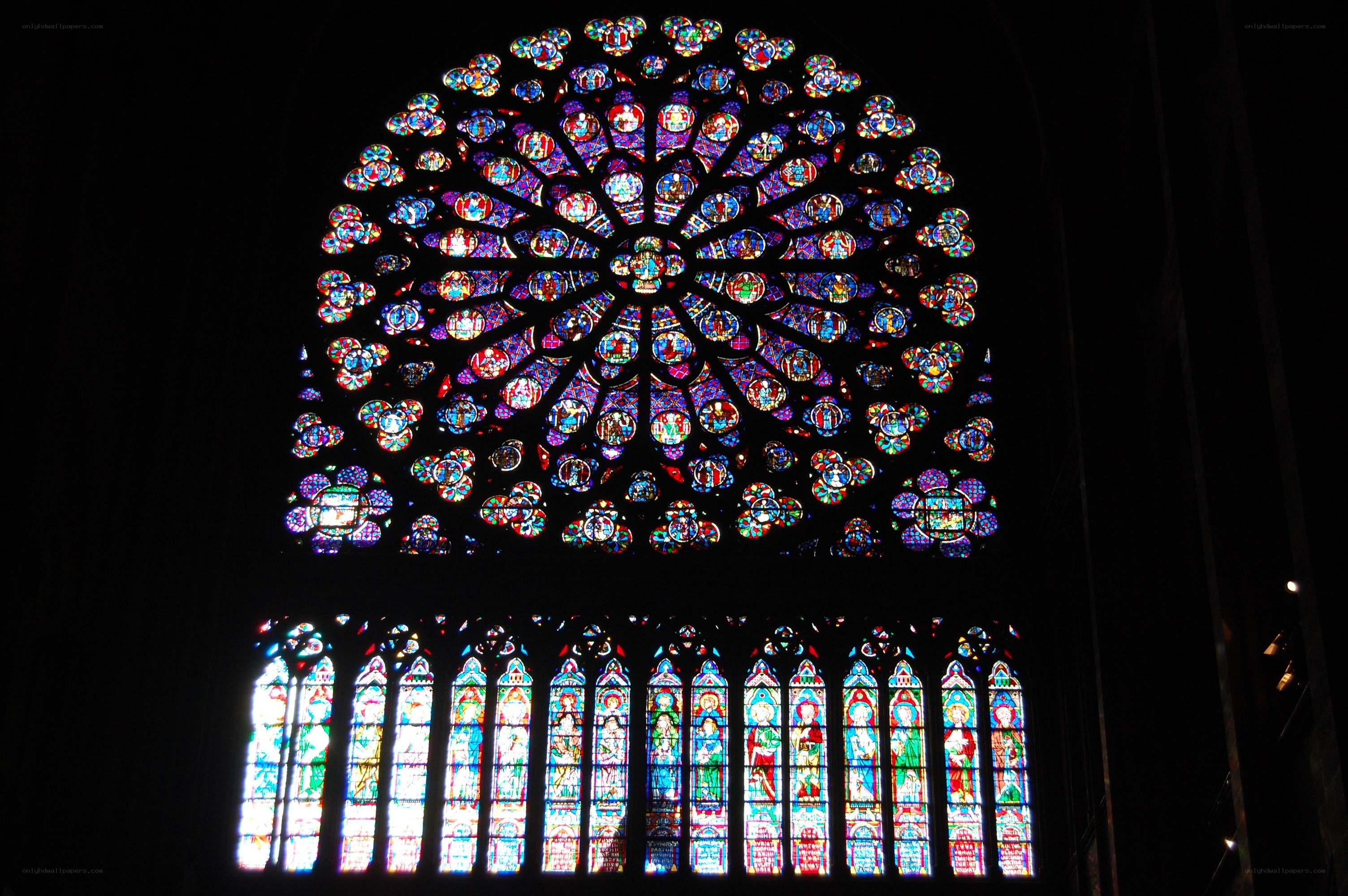 Stained glass rose window
