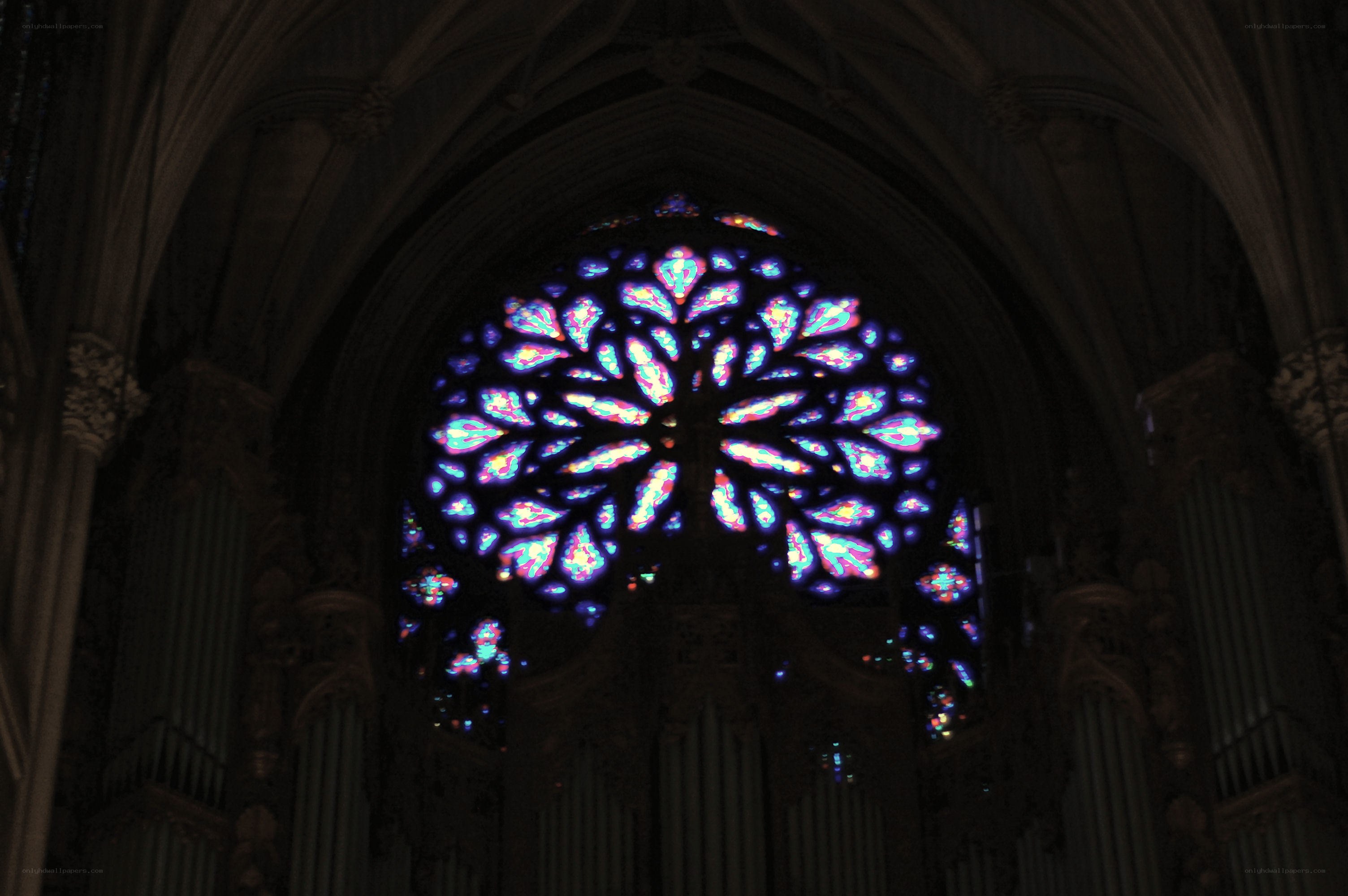 Stained glass rose window
