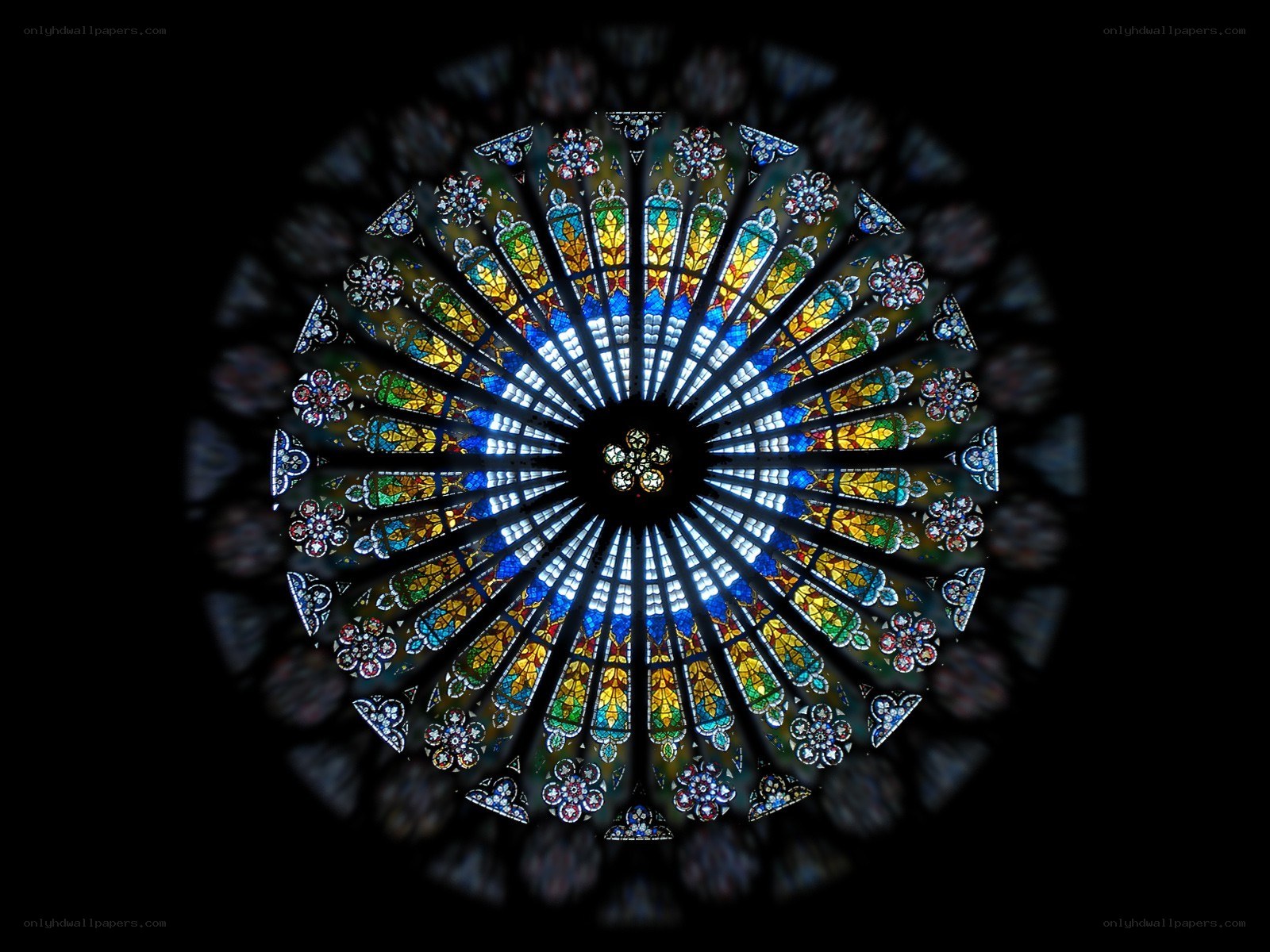 Stained glass rose window