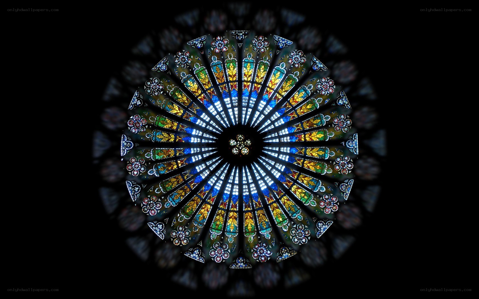 Stained glass rose window