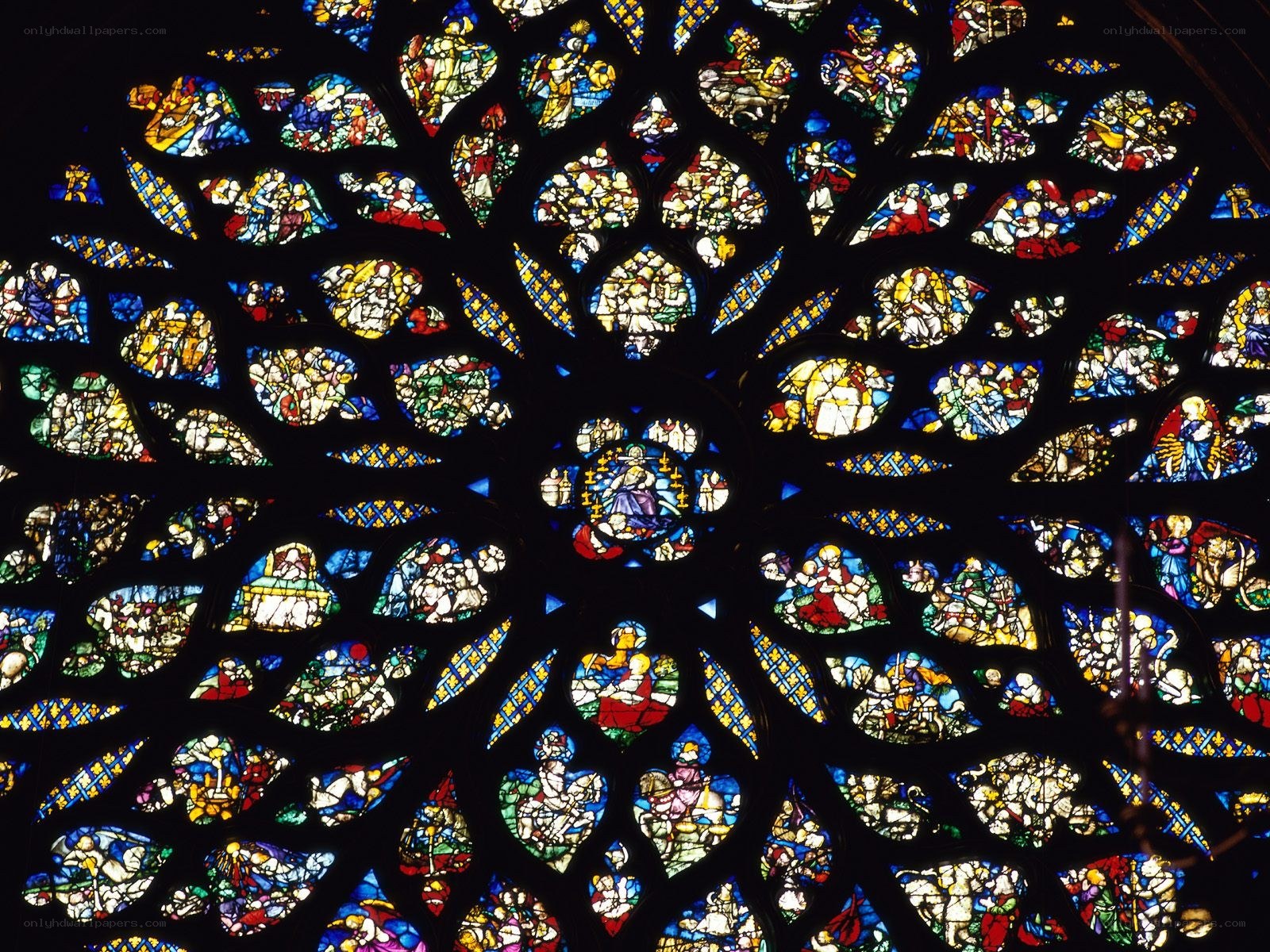 Stained glass rose window