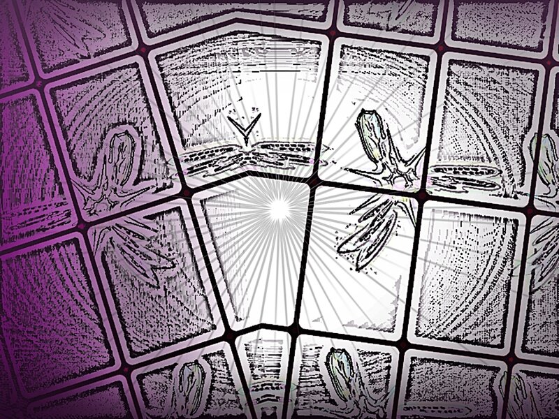 stained glass window with floral patterns