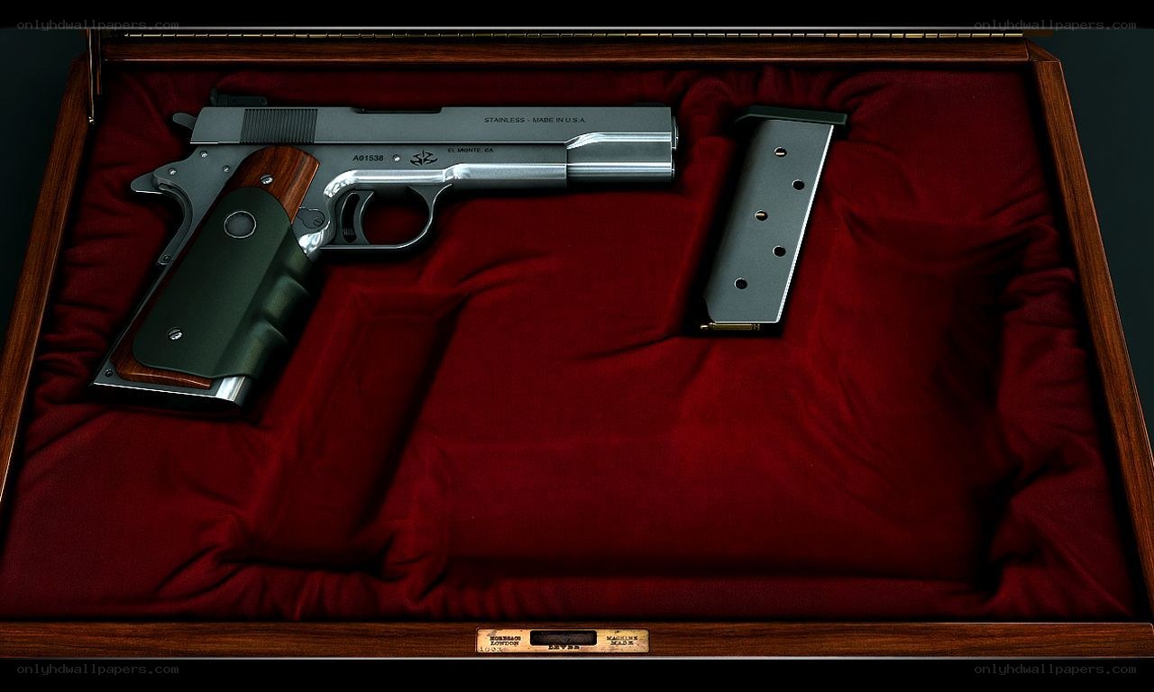 Stainless steel pistol in display case