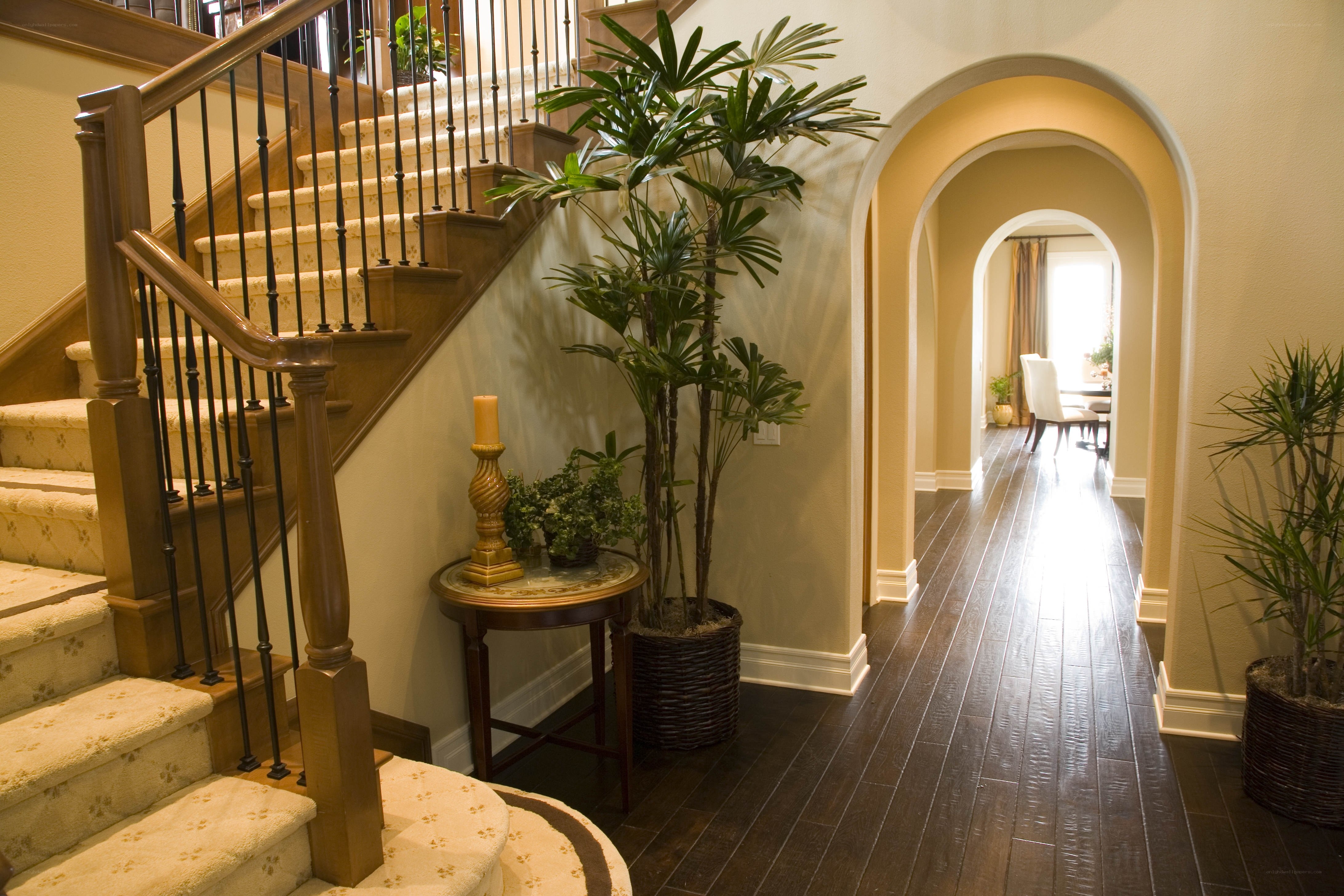 Staircase and hallway interior