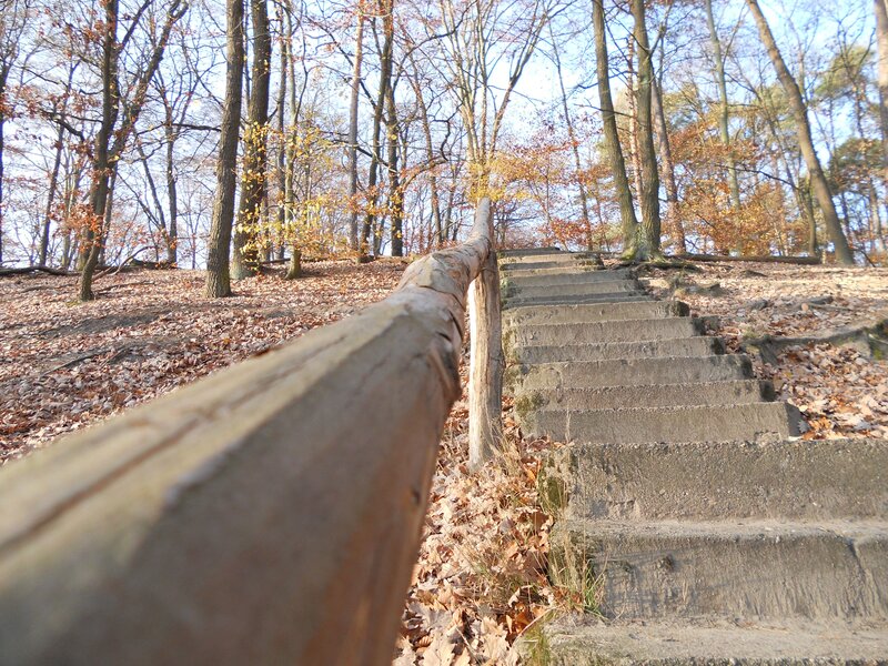 Staircase in autumn forest