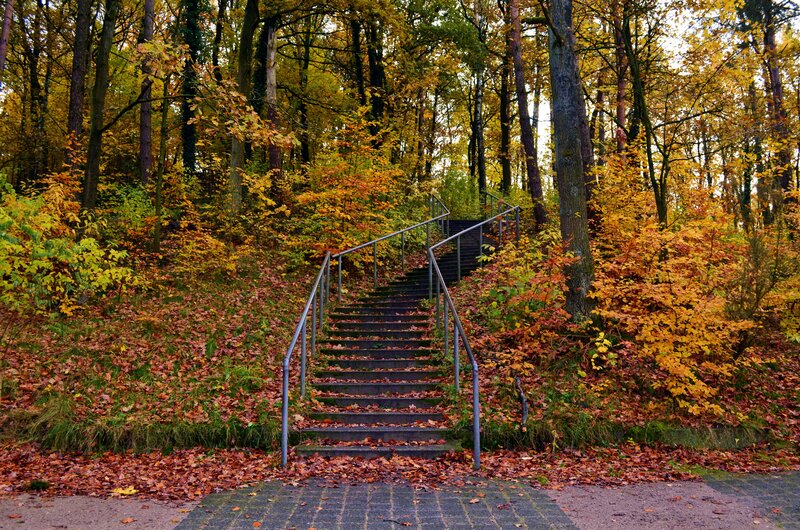 Staircase in Autumn Forest — Yellow