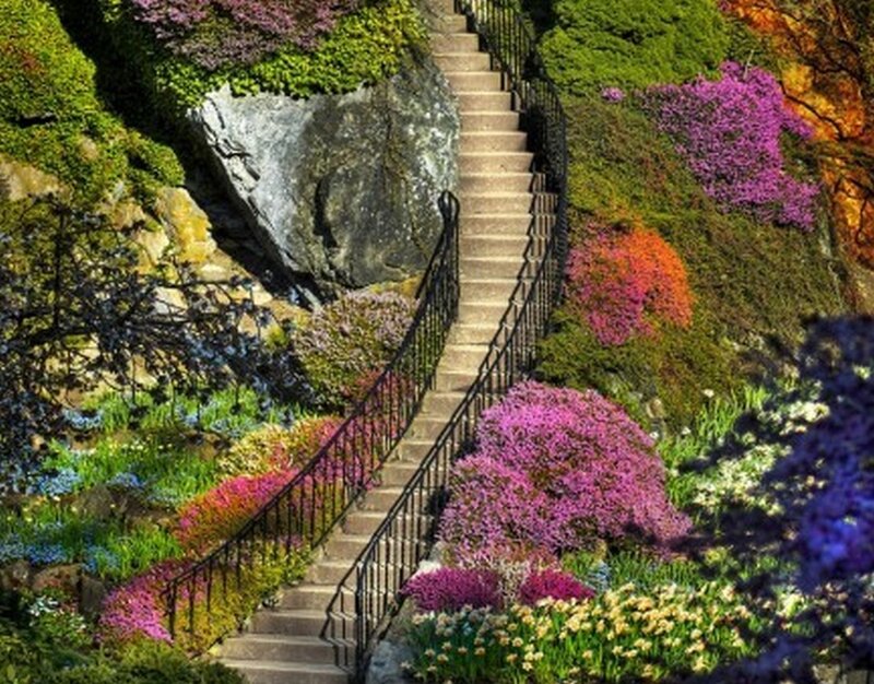 Staircase in Garden