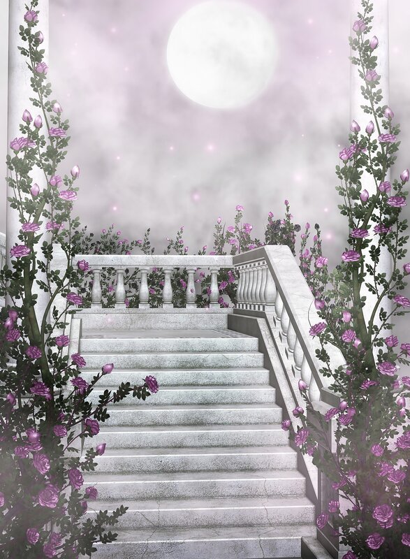 Staircase to the moonlit garden