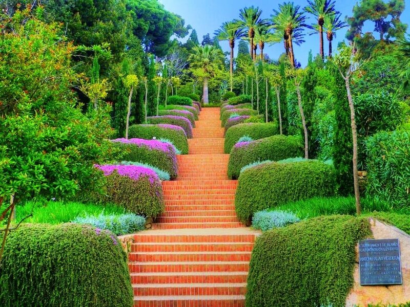 Stairway in a lush garden