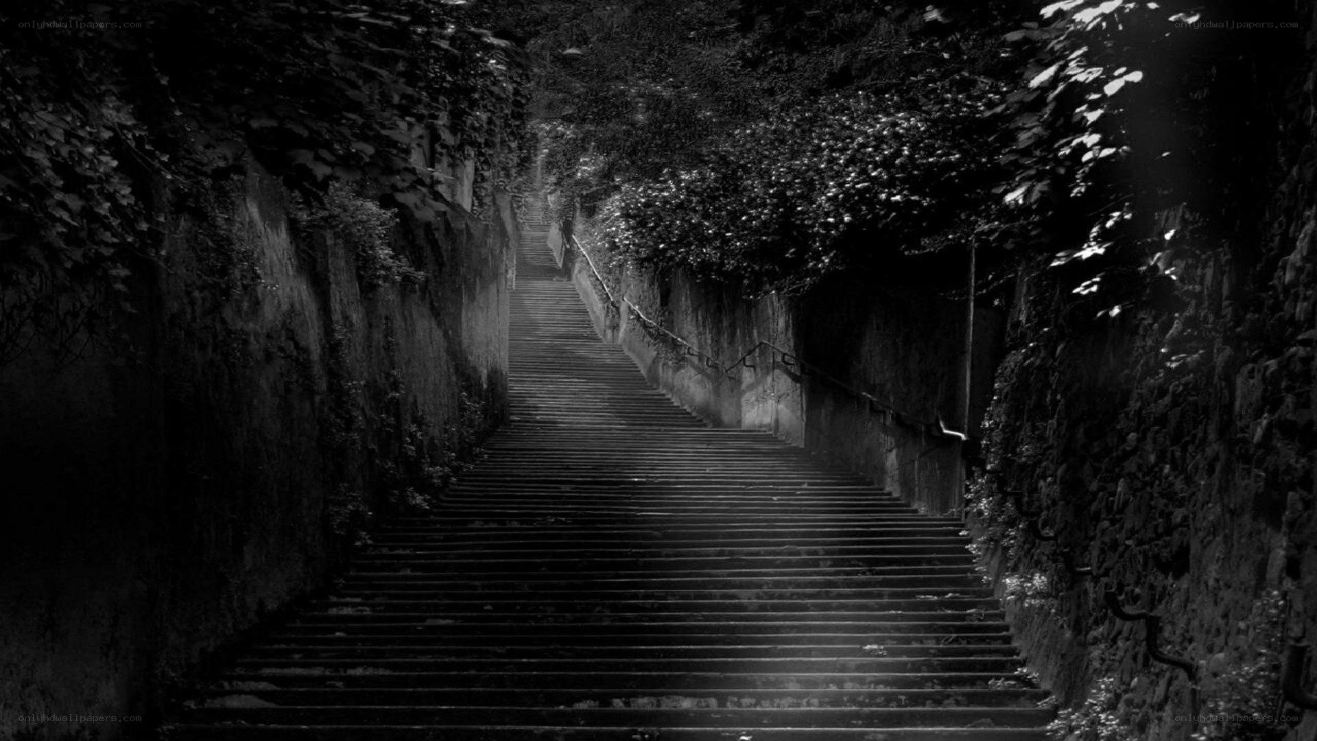 Stairway through a leafy tunnel