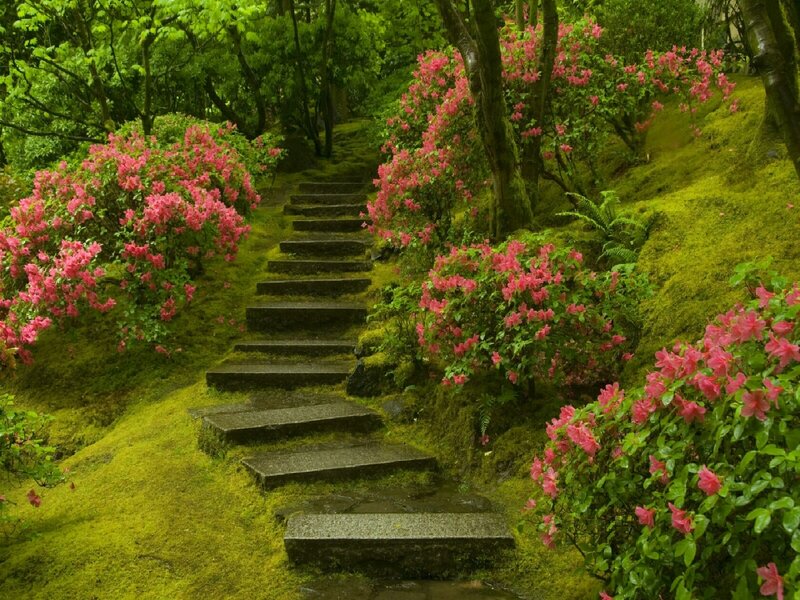 Stairway through a mossy garden