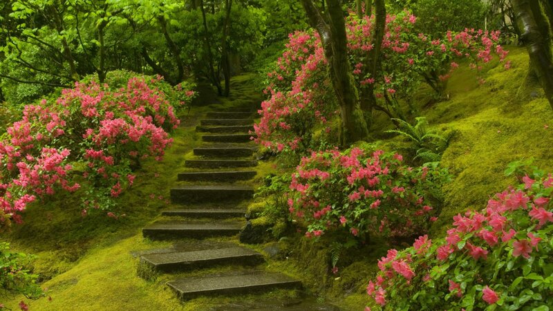 Stairway through a mossy garden
