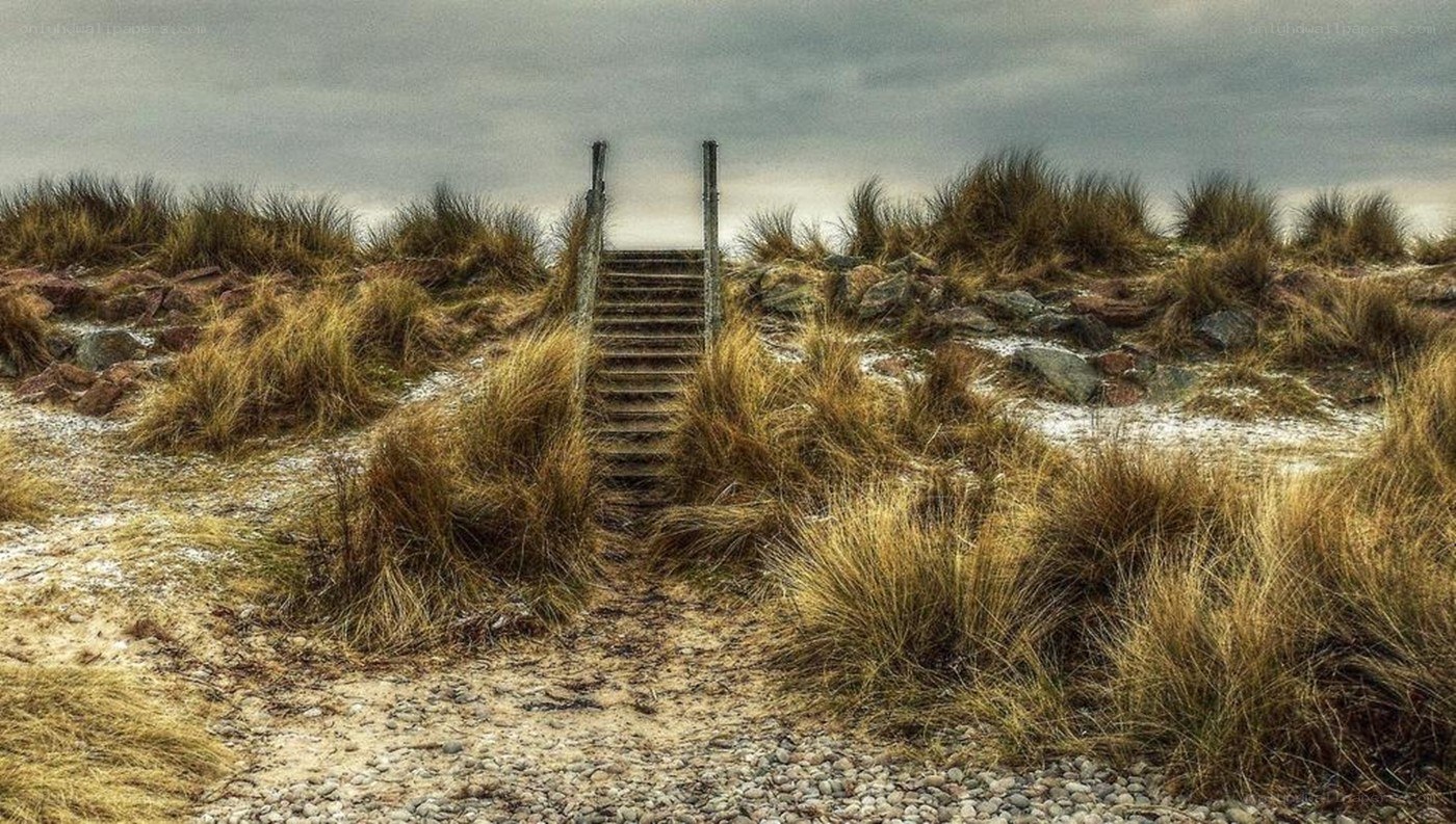 Stairway through dunes to beach
