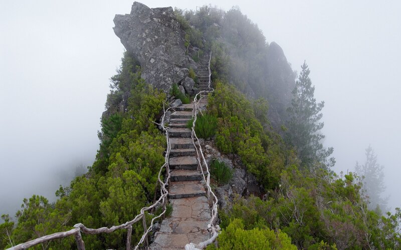 Stairway to a misty mountain peak