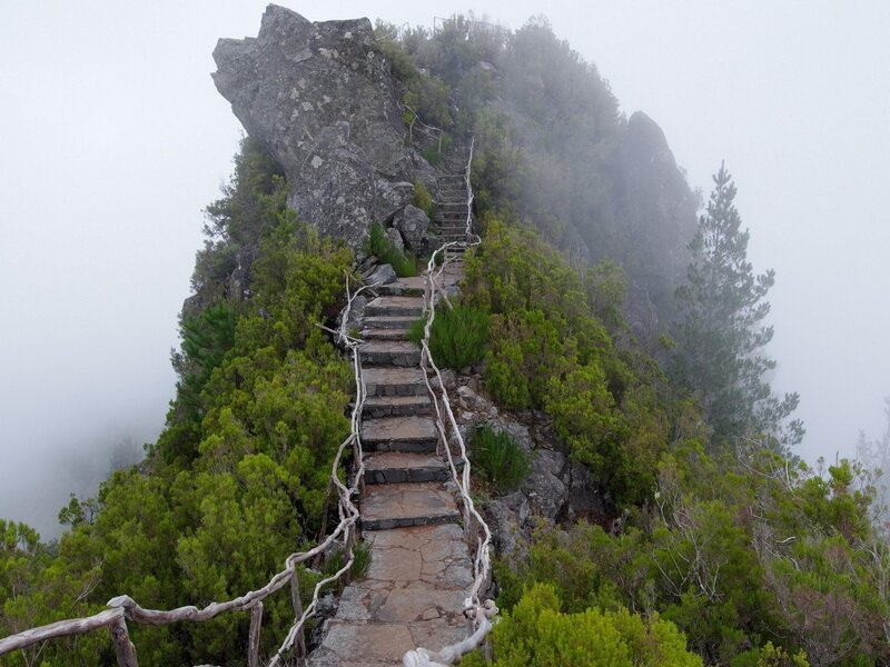 Stairway to a misty mountain peak