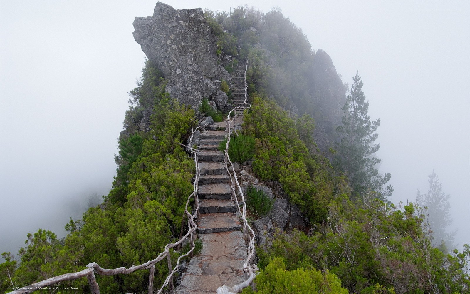 Stairway to a misty mountain peak