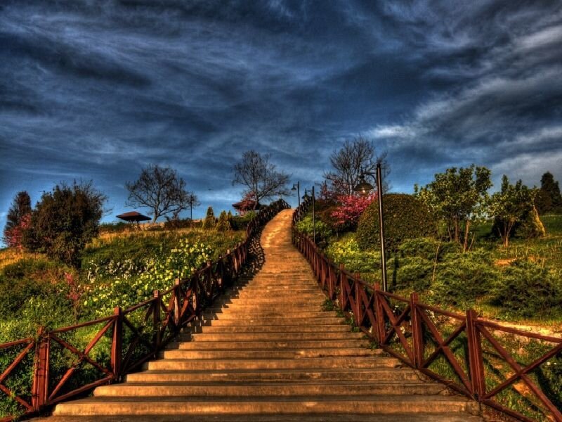 Stairway to the hilltop garden