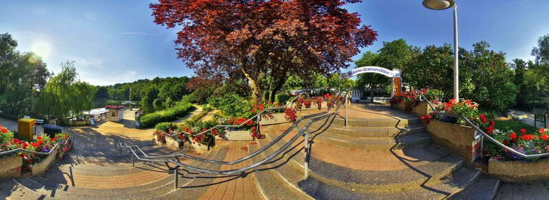 Stairway to the lake with red tree