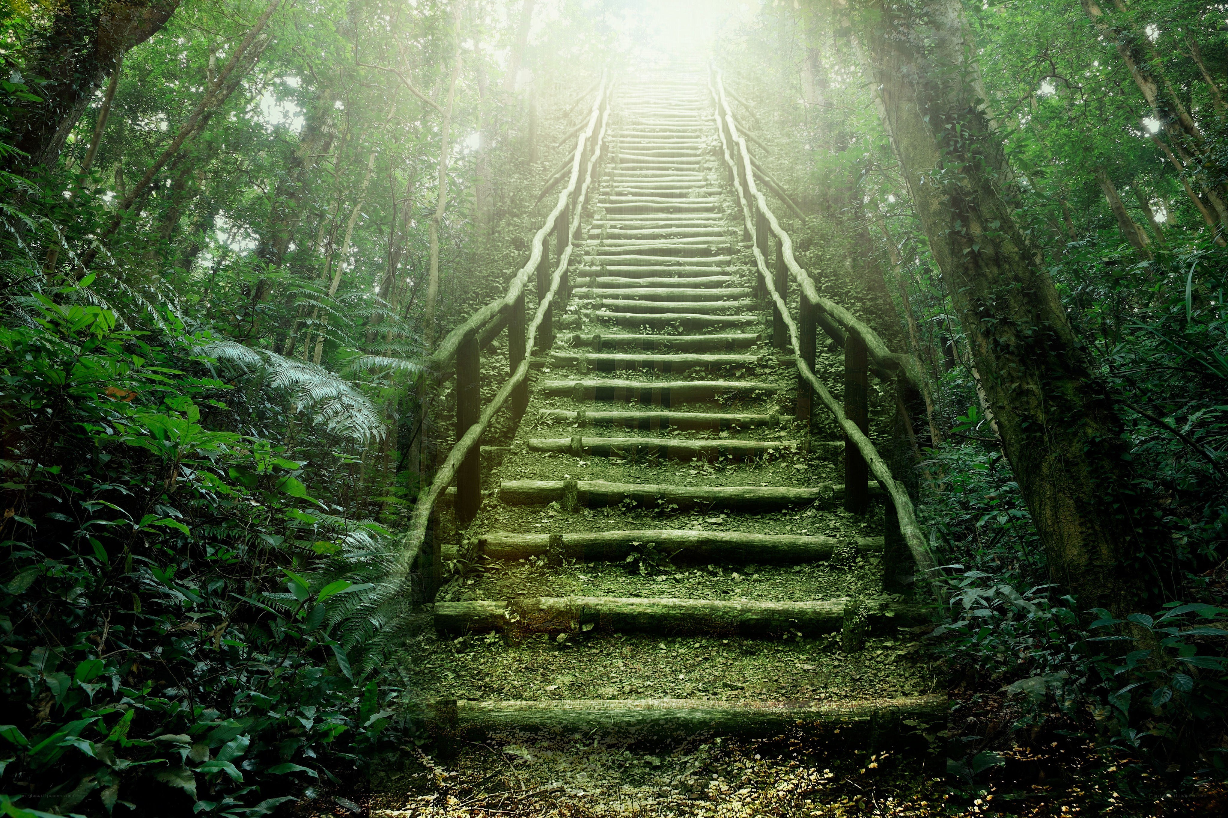 Stairway to the light