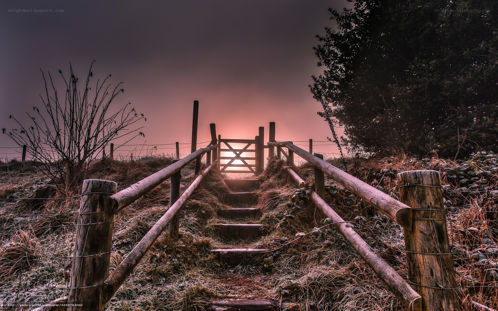 Stairway to the sunset