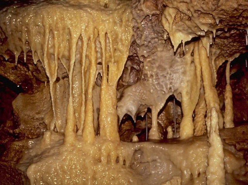 Stalactites in Cave — Brown