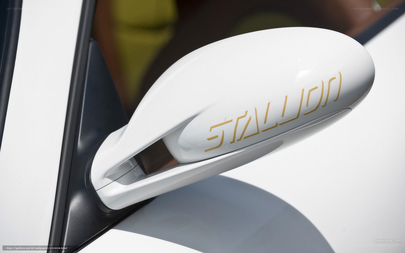 Stallion car mirror detail