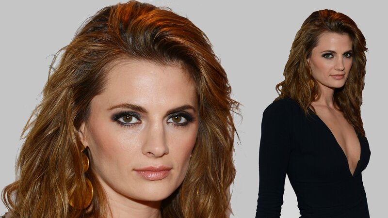 Stana Katic in black dress