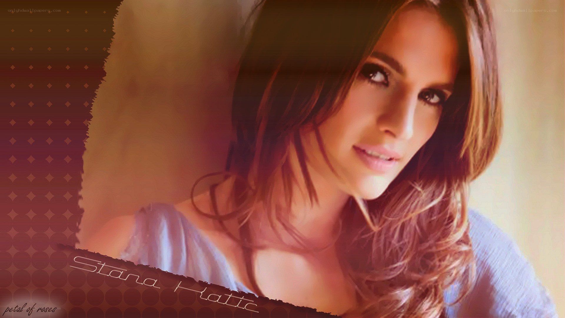 Stana Katic portrait