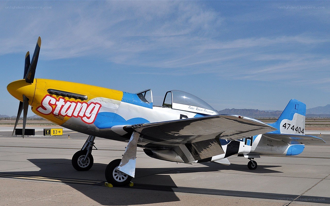 Stang P-51 Mustang