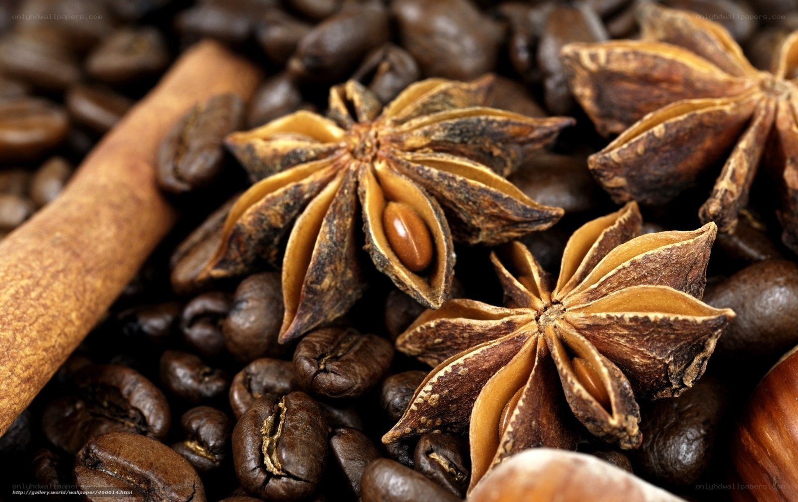 star anise and coffee beans