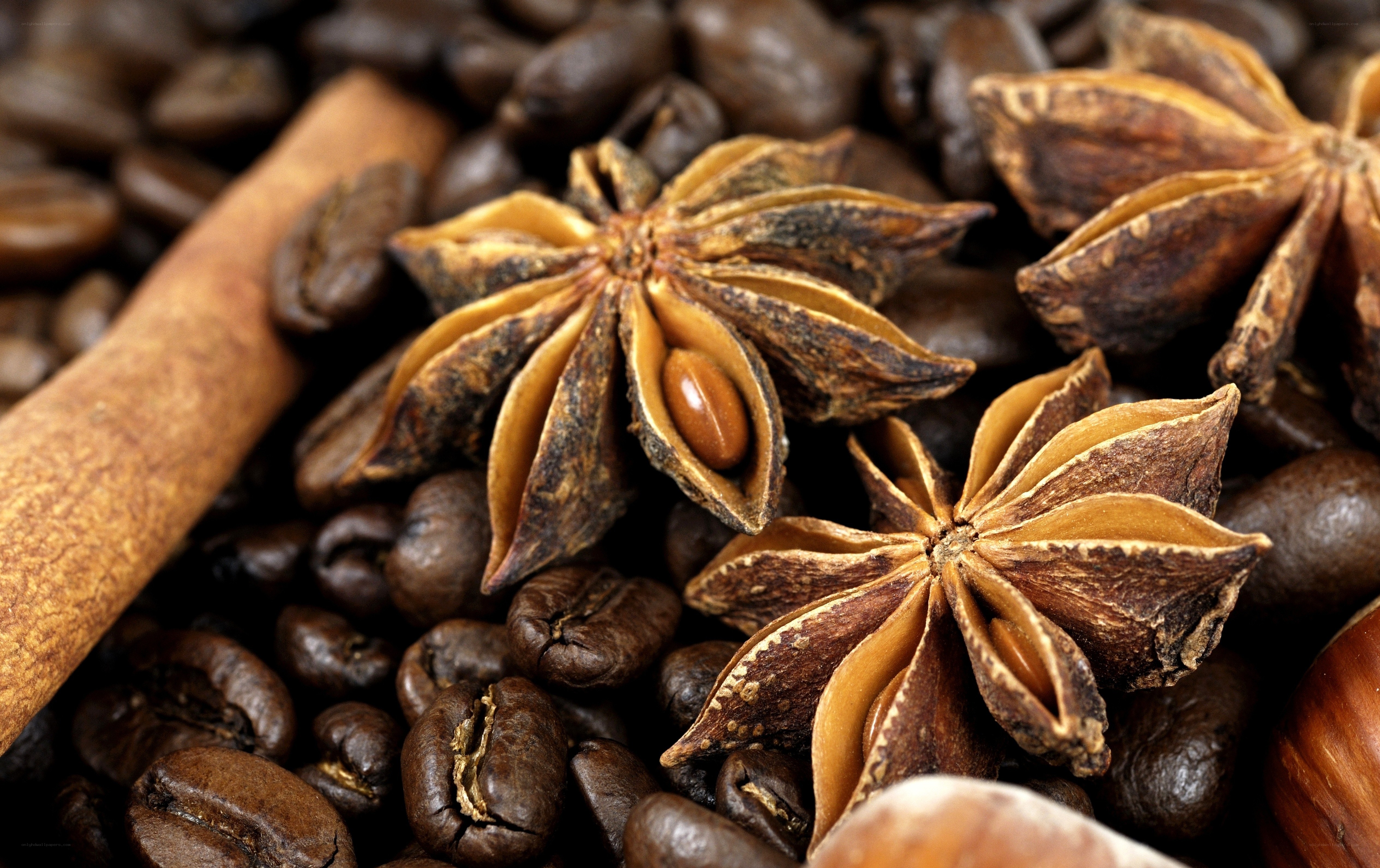 star anise and coffee beans
