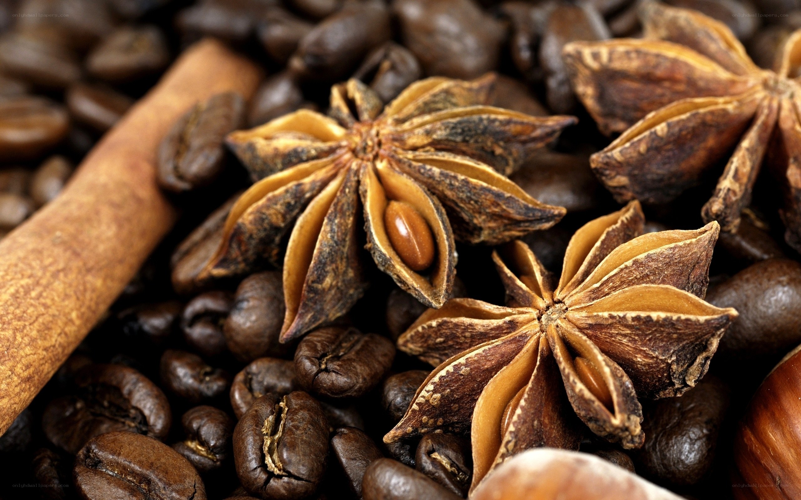 star anise and coffee beans