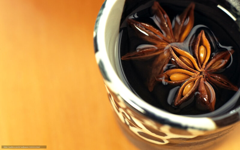 Star Anise in a Cup — Brown, Warm