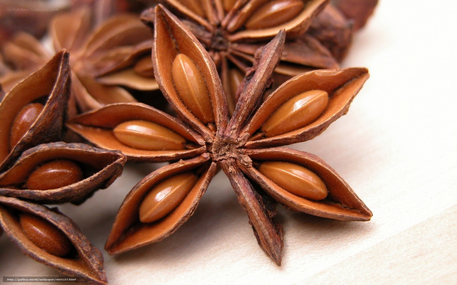 Star anise spice close-up