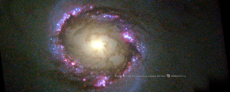 Star birth ring in galaxy NGC 4314