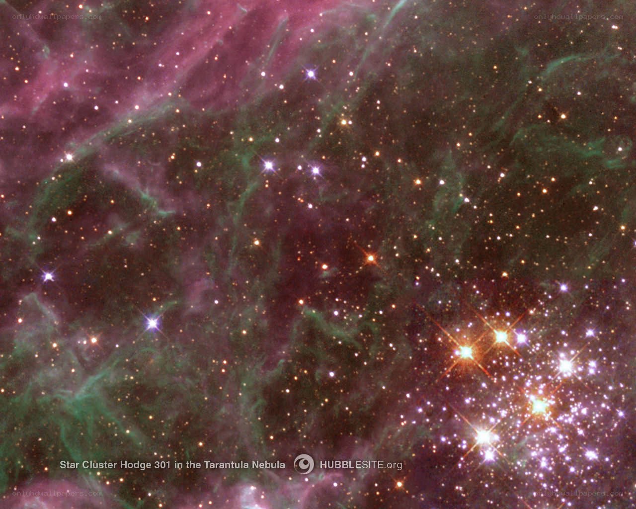 Star Cluster Hodge 301
