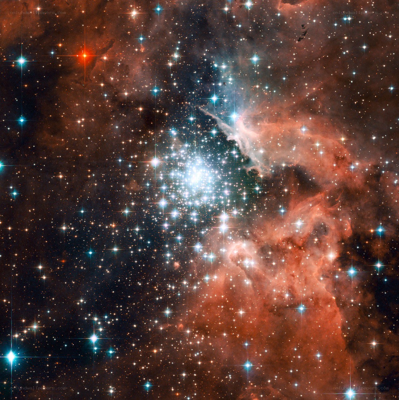 Star cluster in nebula